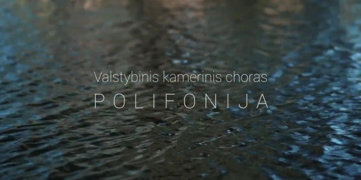 Polifonija - Tykus Tykus - muzikinio video klipo kūrimas